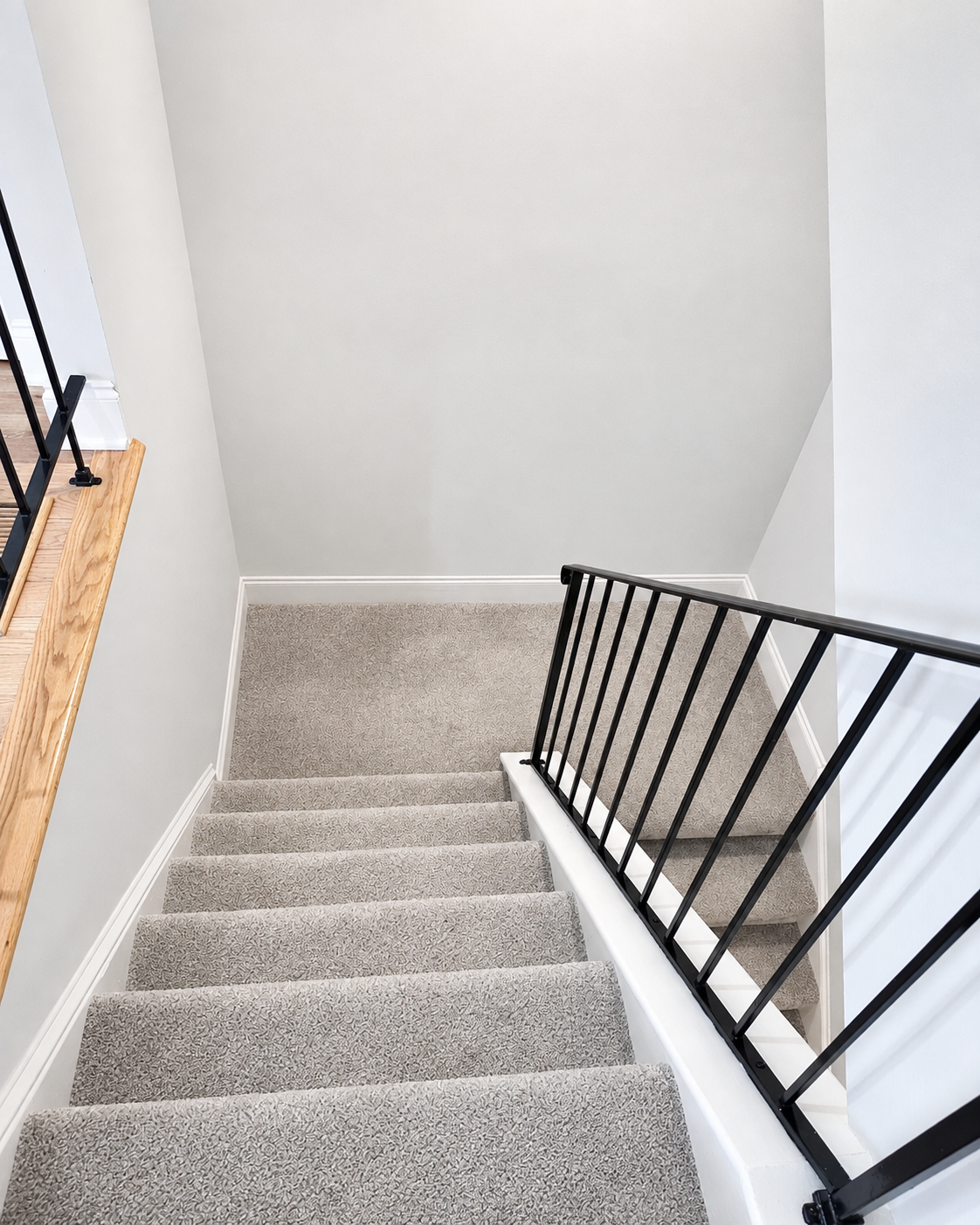 The Leeway Residence — Carpeted stairwell with black iron railing